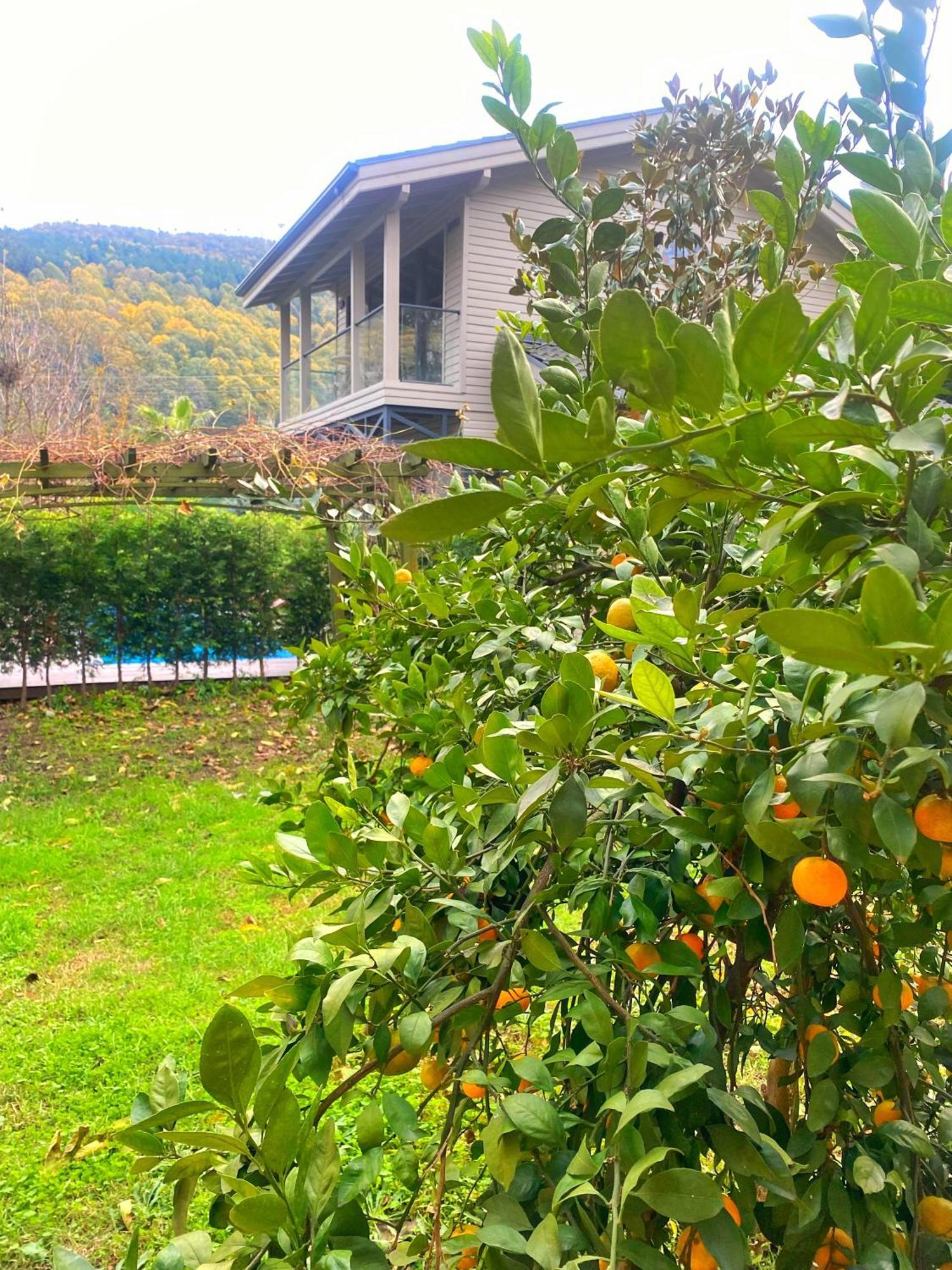 Villa Kirkpinar ספנג'ה מראה חיצוני תמונה